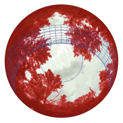 rot eingefärbtes Waldbild