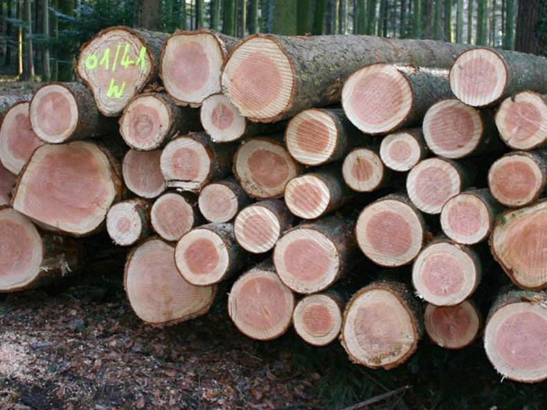 Politique de la ressource bois: stratégie, objectifs et plan d’action
