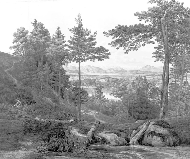 Raccoglitrice di frutti di bosco nel 1814