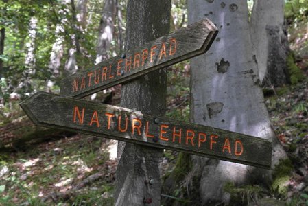 Zwei Schilder mit der Aufschrift Naturlehrpfad an einem Baum