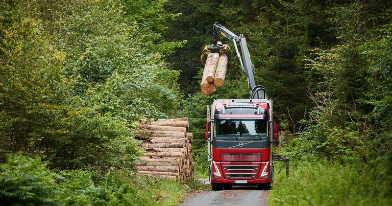 Holz-LKW beim Laden von Rundholz