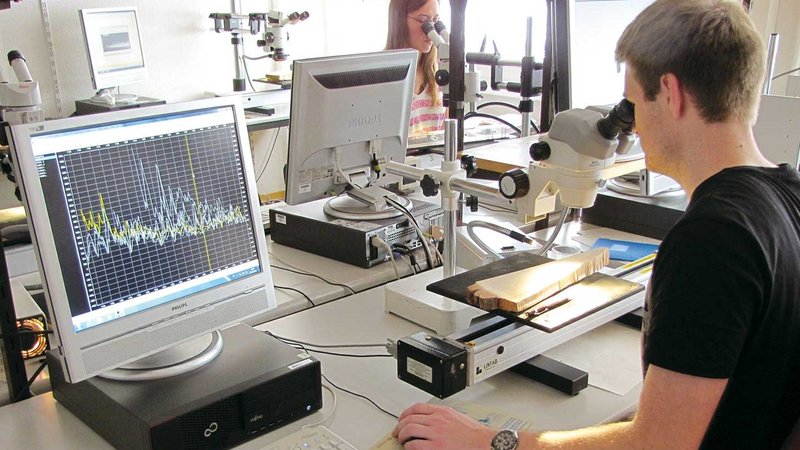Forscher untersuchen die Stämme im Labor