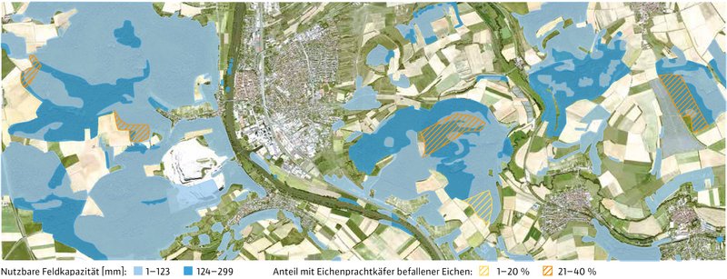 uftbildkarte mit farblich hervorgehobenen Flächen unterschiedlicher nutzbarer Feldkapazität. Orange schraffierte Flächen zeigen Bereiche mit einem Anteil von 1 bis 40 % Eichen mit Eichenprachtkäferbefall.