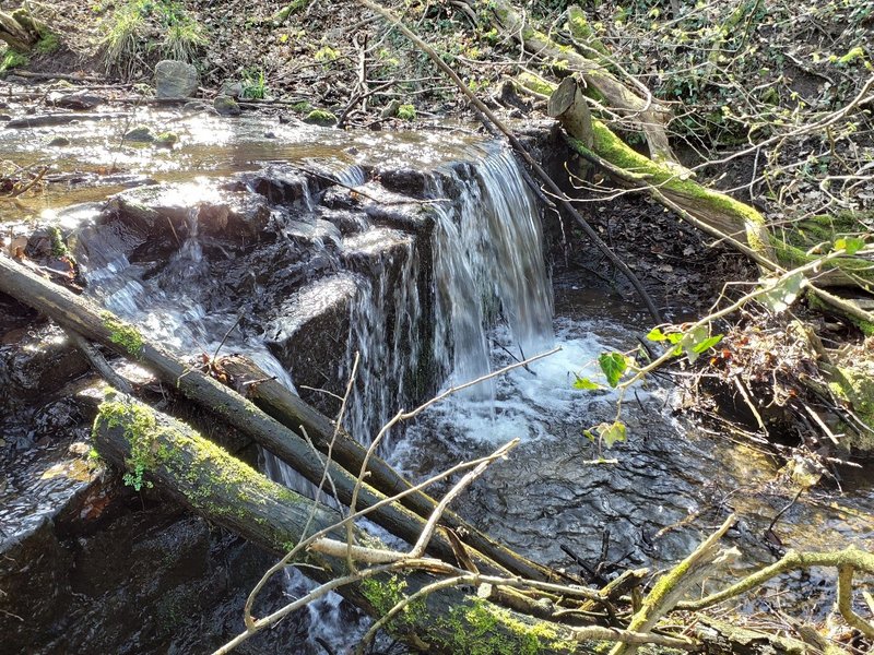 Effektive Renaturierungsmaßnahme durch Entfernen der Wanderungsbarriere am Waldbach