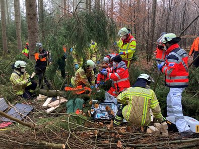 Rettungskräfte im Wald versorgen einen Verletzten