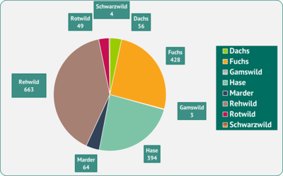 Fotografierte Wildtiere auf den sechs Untersuchungsflächen während der zweiten Projektphase