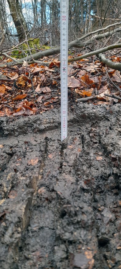 Fahrspuren des Jarcrac Evopro bei trockener Witterung