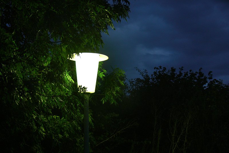 Ein helle Strassenlampe erleuchtet den Wald Ein helle Strassenlampe erleuchtet den Wald