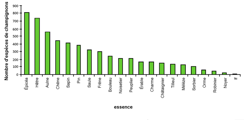 Nombre d'espèces de champignons par essence forestière