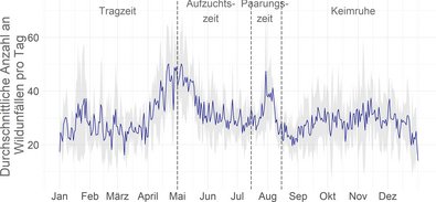 Grafik zeigt Anzahl der Wildunfälle mit Rehen im Jahresverlauf