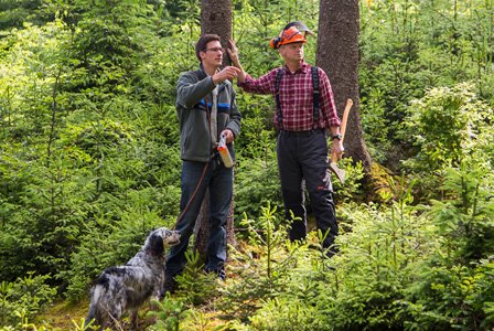 Förster und Waldarbeiter mit Helm und Axt im Wald