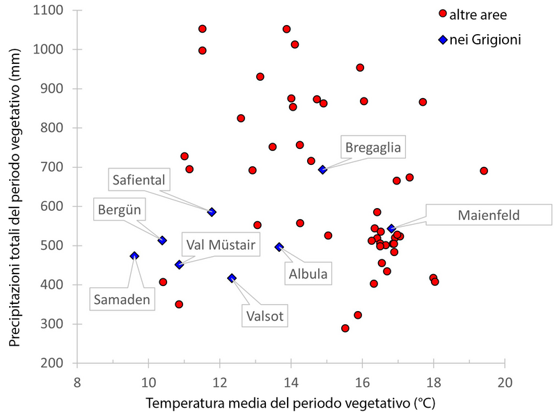 Temperatura media e somma delle precipitazioni durante il periodo di vegetazione