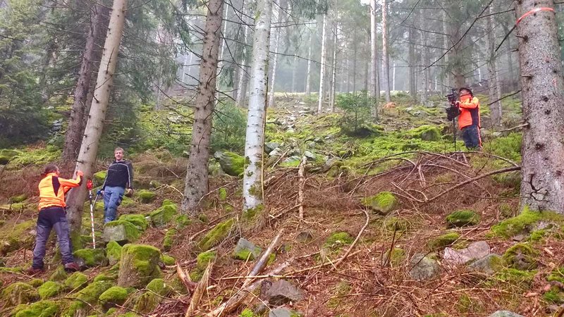 Bei der Einzelbaumeinmessung im Radius 15m um die Köderbäume mit dem Field-Map-System.