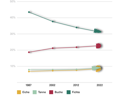 Abb. 3: Die wichtigsten Baumarten im Land – Veränderung der Flächenanteile im Gesamtwald (Prozent)