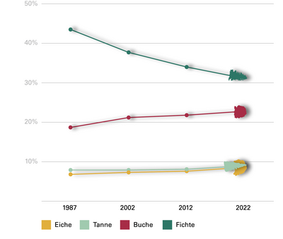 Abb. 5: Veränderung des Holzvorrats wichtiger Baumarten im Gesamtwald (Mio. m³)