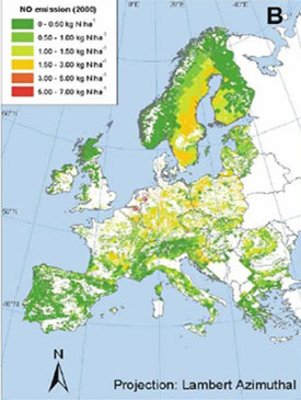 NO-Emissionen aus Waldböden in Europa