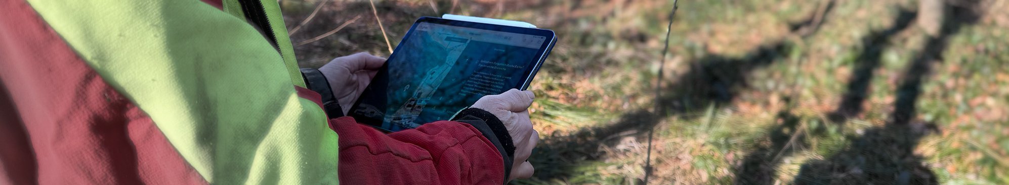 Baumartenwahl im Klimawandel – ein TreeApp-Anwendungsbeispiel