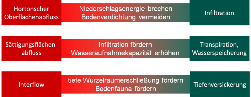 Abb. 7: Möglichkeiten zur Reduktion schneller Abflussprozesse (rot) und Förderung langsamer Abflussprozesse (grün) durch angepasste Waldbewirtschaftung.