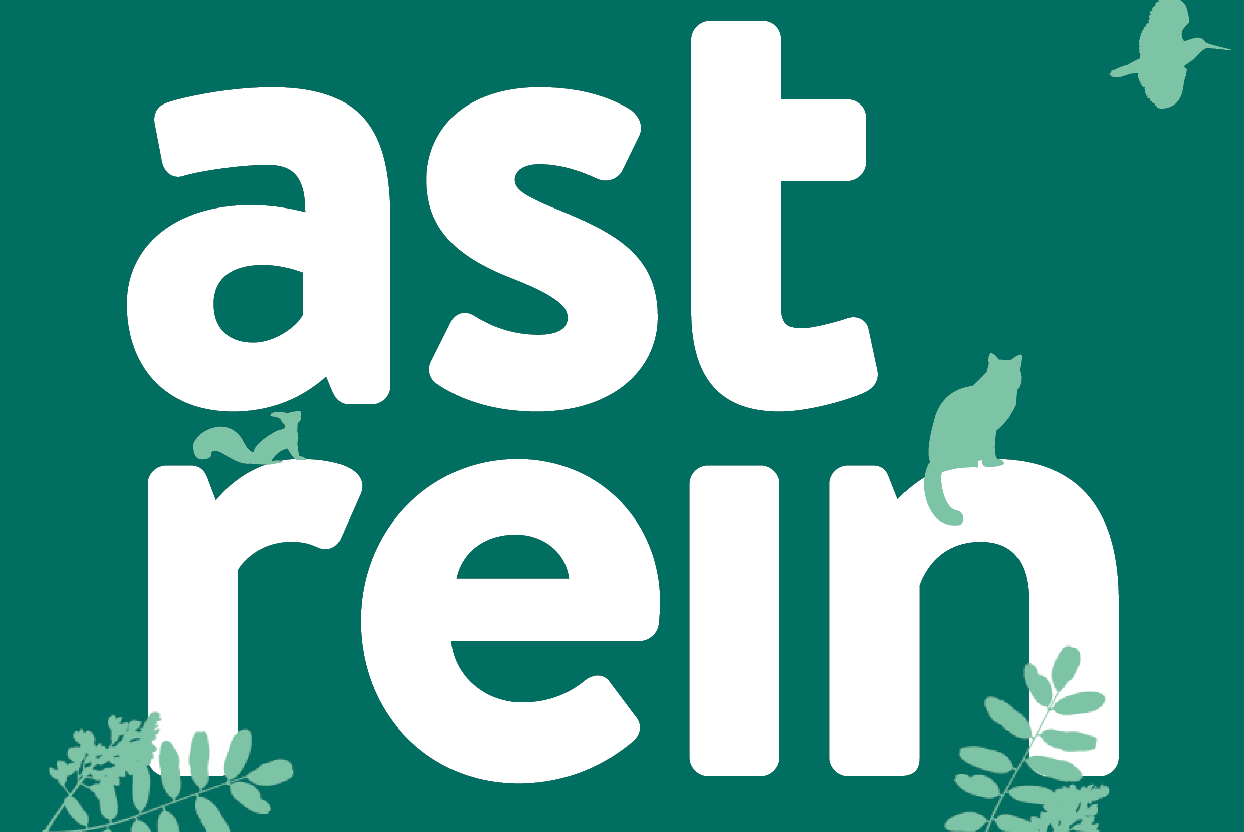 Logo des Podcasts astrein – Wald.Mensch.Wissen.