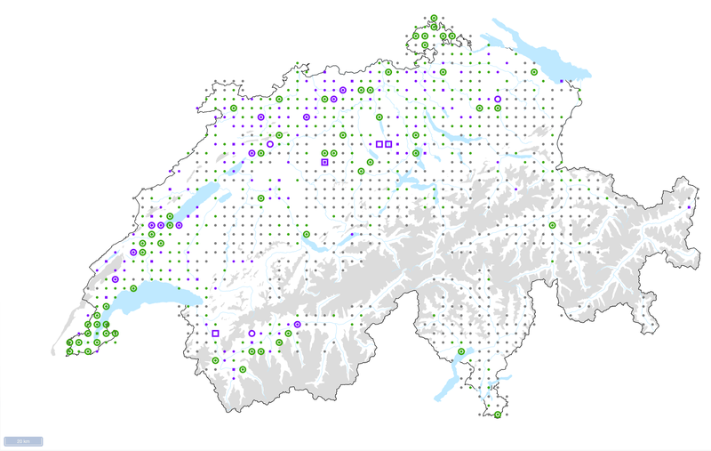 Verbreitung der Wildbirne in der Schweiz