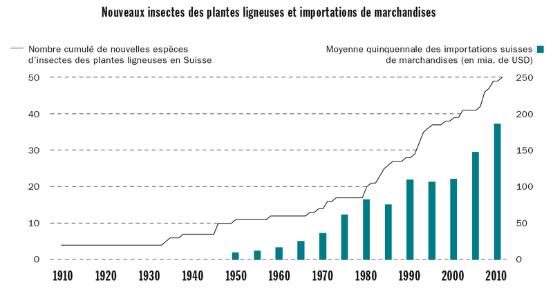 Nouveaux insectes des plantes ligneuses et importations de marchandises