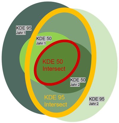 Abb. 3: Berechnung Kontinuität