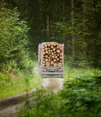 Rückansicht eines mit Baumstämmen beladenen Holztransporters, der auf einem schmalen unbefestigten Weg durch einen dicht bewachsenen Wald fährt.