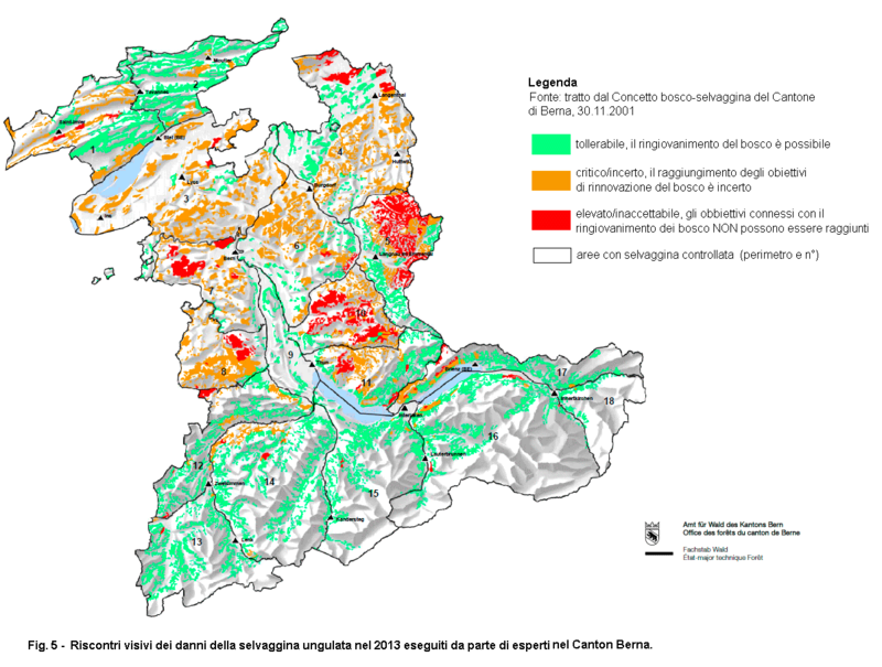 Riscontri visivi dei danni della selvaggina ungulata nel 2013 eseguiti da parte di esperti nel Canton Berna