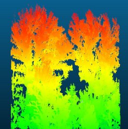 Ausschnitt der Punktwolke auf Plotgröße