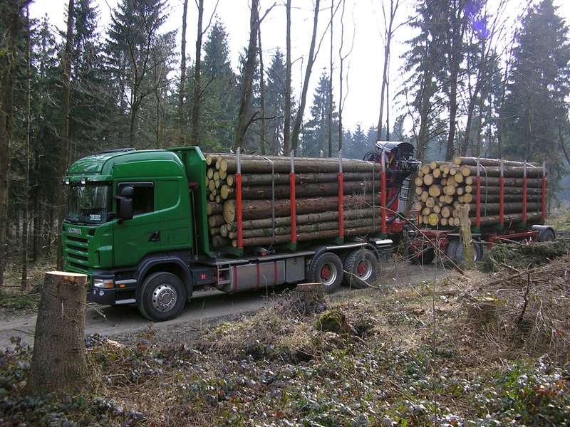 LKW-Holztransport