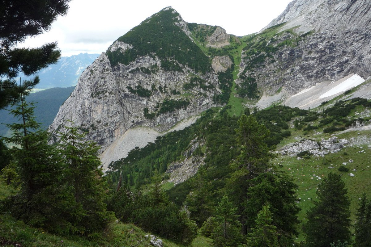 Hochlagenwälder im Wandel 1 Hochlagenwälder im Wandel