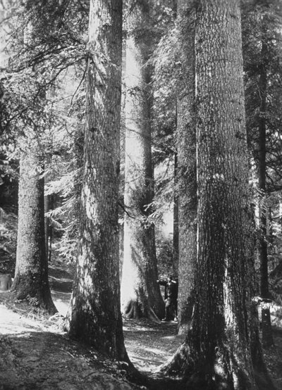 Dürsrüti, Reservat 1914