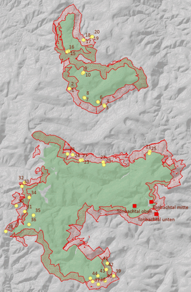 Pufferstreifen, Fallenstandorte des Monitoringsystems (gelb) und Intensivmessfläche Tonbachtal (rot) im Nationalpark Schwarzwald sowie den angrenzenden Forstbetrieben.