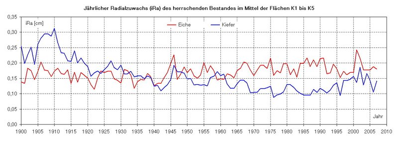 Jährlicher Radialzuwachs von Kiefer und Eiche