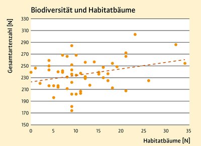 Grafik: Verhältnis Habitatbäume zu Gesamtartenzahl