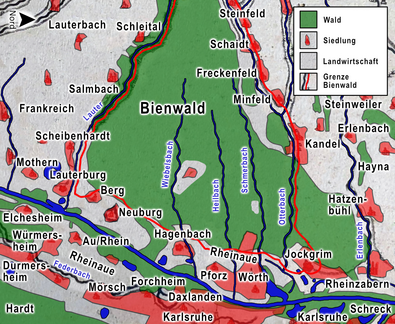 Bienwald und Umgebung 1737 bis 2025: Der Bienwald wurde vom Agro-Forst zum dichten Hochwald aufgebaut; die Siedlungen expandierten und rückten an den begradigten Rhein; die Landwirtschaft schrumpfte erheblich.