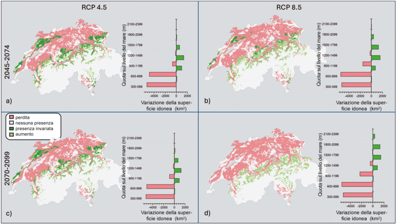 Grafico della variazione dell'area di distribuzione potenziale del faggio in Svizzera in base al cambiamento climatico