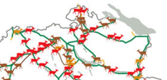 infrastrutture-ecologiche-la-rete-della-vita