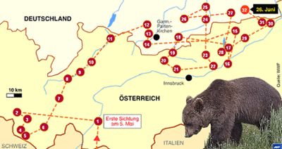 Kulturlandschaft – Lebensraum für Braunbären?