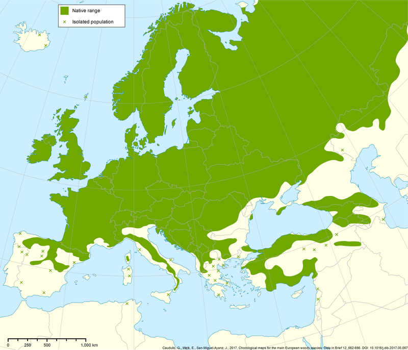 Verbreitungskarte der Aspe