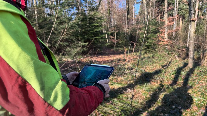 TreeApp-Anwendung direkt im Wald