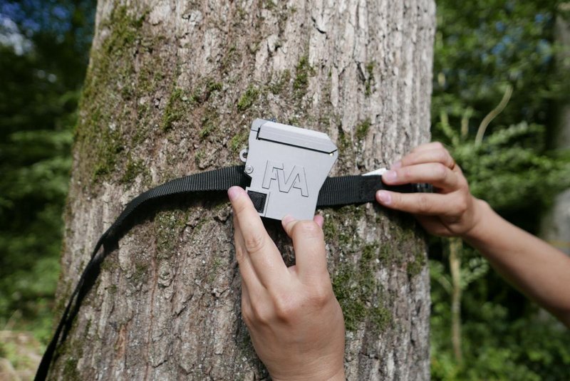 Mit diesem autonomen Audiorecorder untersucht die FVA BW, ob ein Monitoring der Waldschnepfe mittels Bioakustik möglich ist. (Foto: FVA BW)