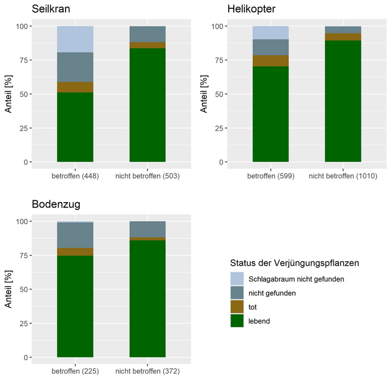 Status der Verjüngungspflanzen nach Rückeverfahren