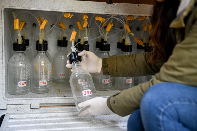 Mitarbeiterin sitzt in einem Holzverschlag und beschriftet/prüft entnommene Wasserproben