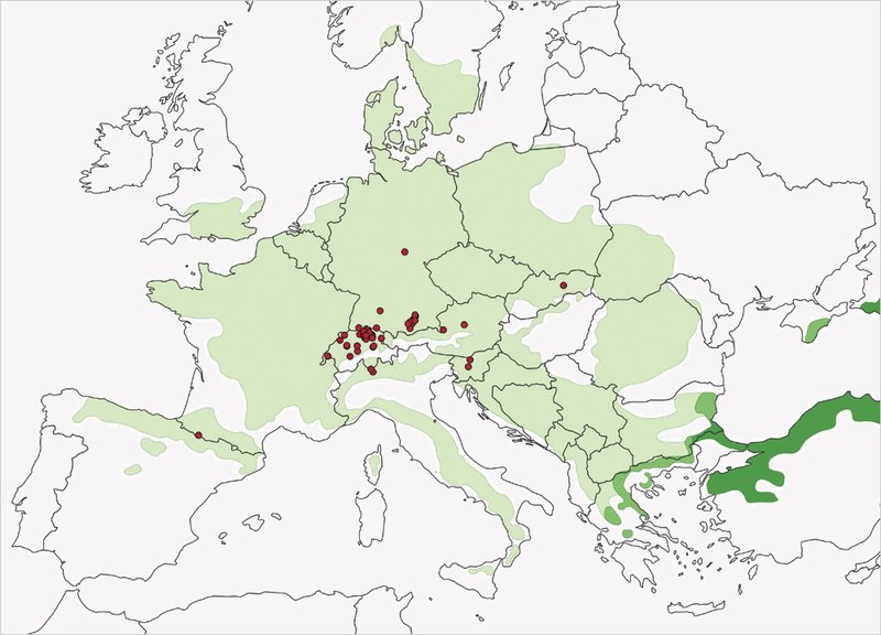 Fundorte von Petrakia liobae in Europa