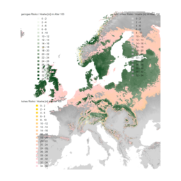 Verbreitung der Rotbuche und Hainbuche 2071-2100 RCP 8.5