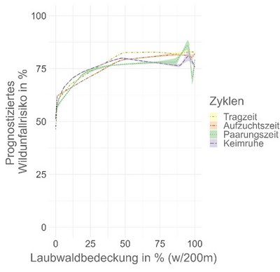 Wildunfallrisiko von Rehen in Abhängigkeit von der Laubwaldbedeckung während biologischen Zyklen