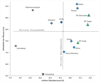 Gruppierung der Herkünfte nach Überlebensrate und Höhe der Pflanzen im Alter 10 gemittelt über alle Versuchsstandorte (Symbolfarbe grün: Rumänische Samenplantagen; Blau: rumänische Bestände; Grau: deutsche Vergleichsbestände).