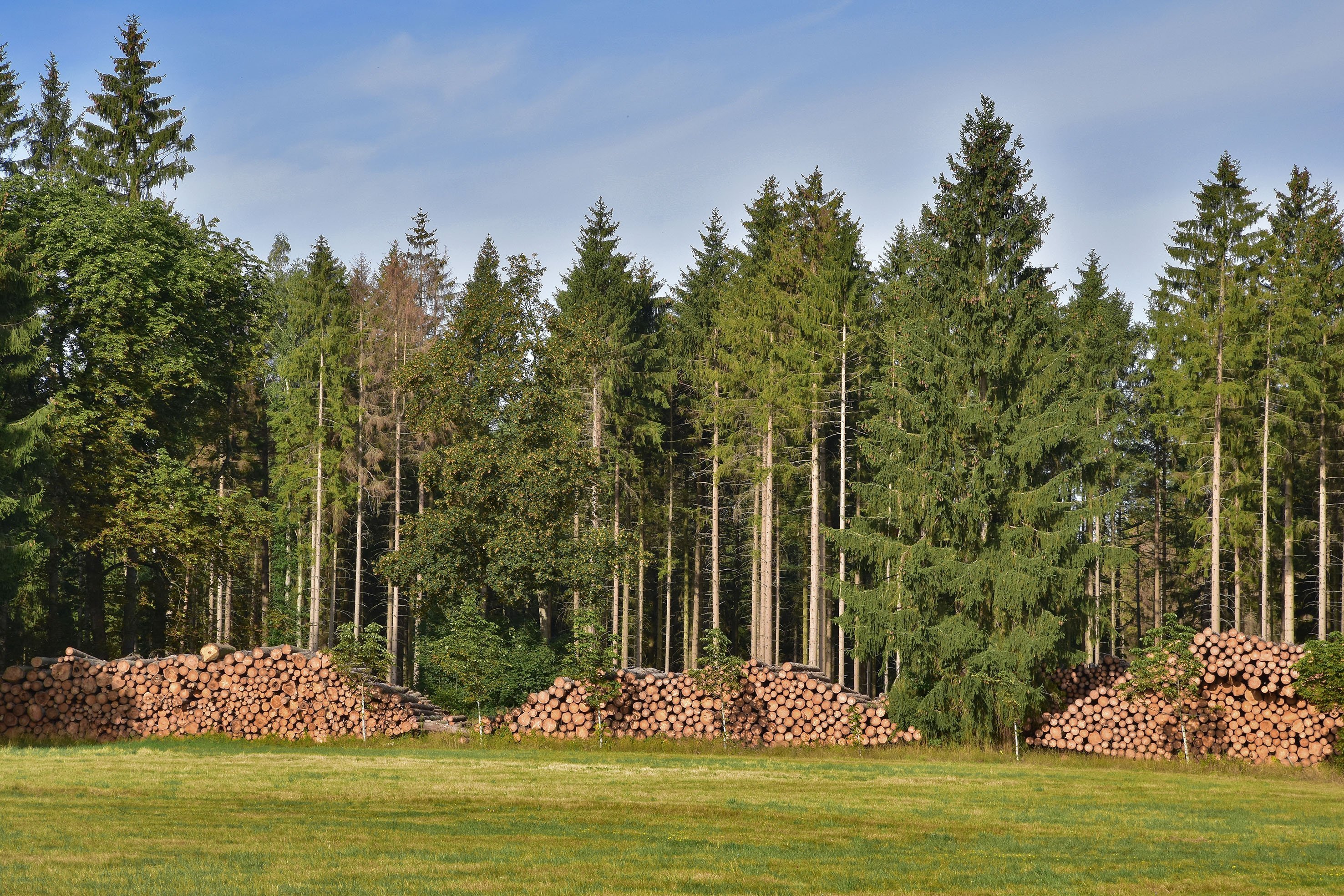 Die neue Generation Ertragstafeln 1 Die neue Generation Ertragstafeln