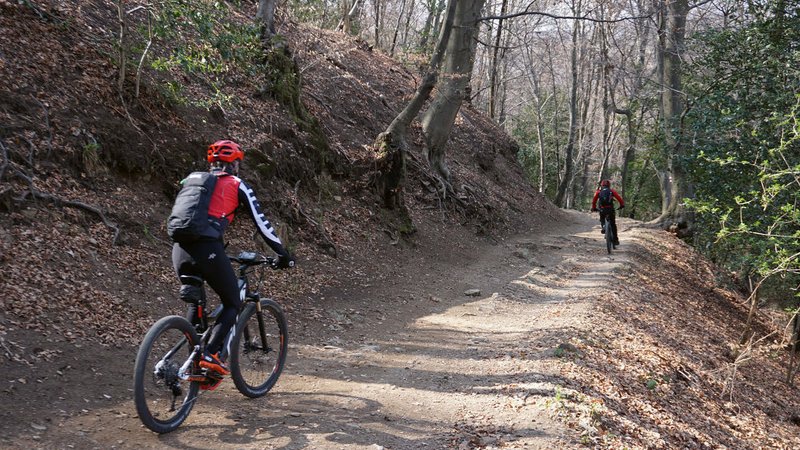 Mountain bikers in the woods
